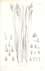 n174_w1150