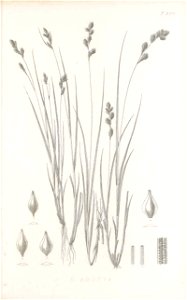 n170_w1150