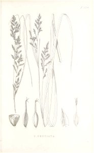n50_w1150
