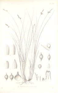 n218_w1150