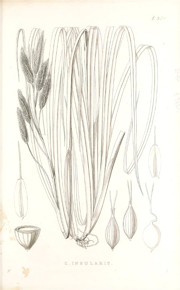 n110_w1150
