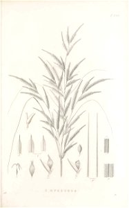 n98_w1150