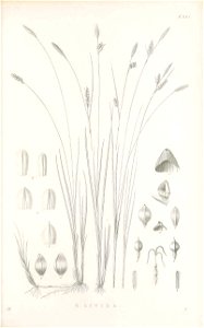 n68_w1150