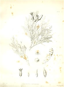 n27_w1150