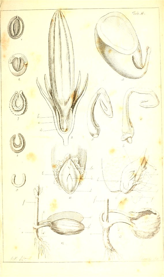 n138_w1150