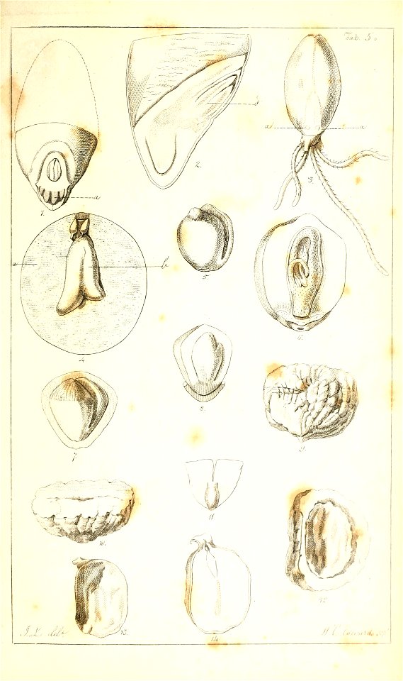 n136_w1150