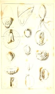 n136_w1150
