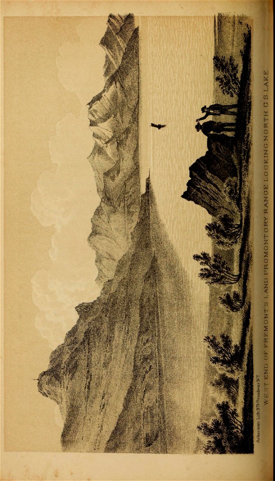 n211_w1150