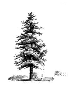 n98_w1150
