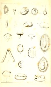 n134_w1150