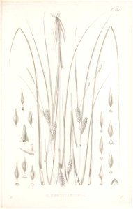 n162_w1150