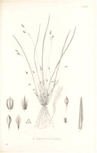 n132_w1150
