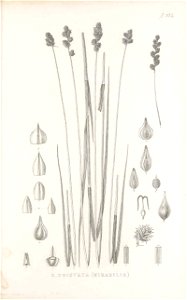 n158_w1150