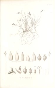n128_w1150