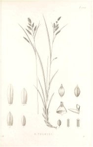n236_w1150