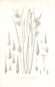 n176_w1150