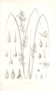 n146_w1150