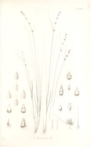 n86_w1150
