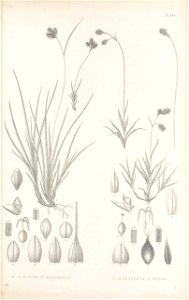 n482_w1150
