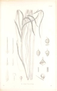 n392_w1150