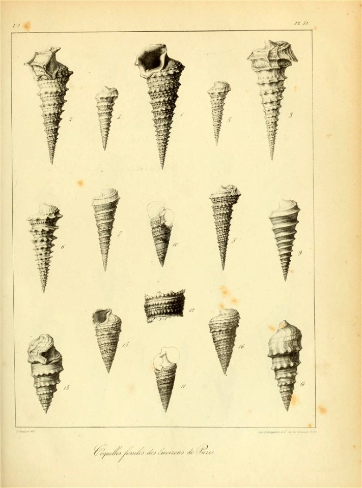 n154_w1150