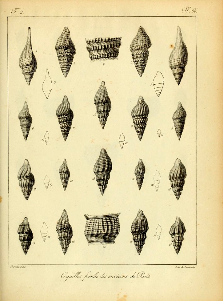 n182_w1150