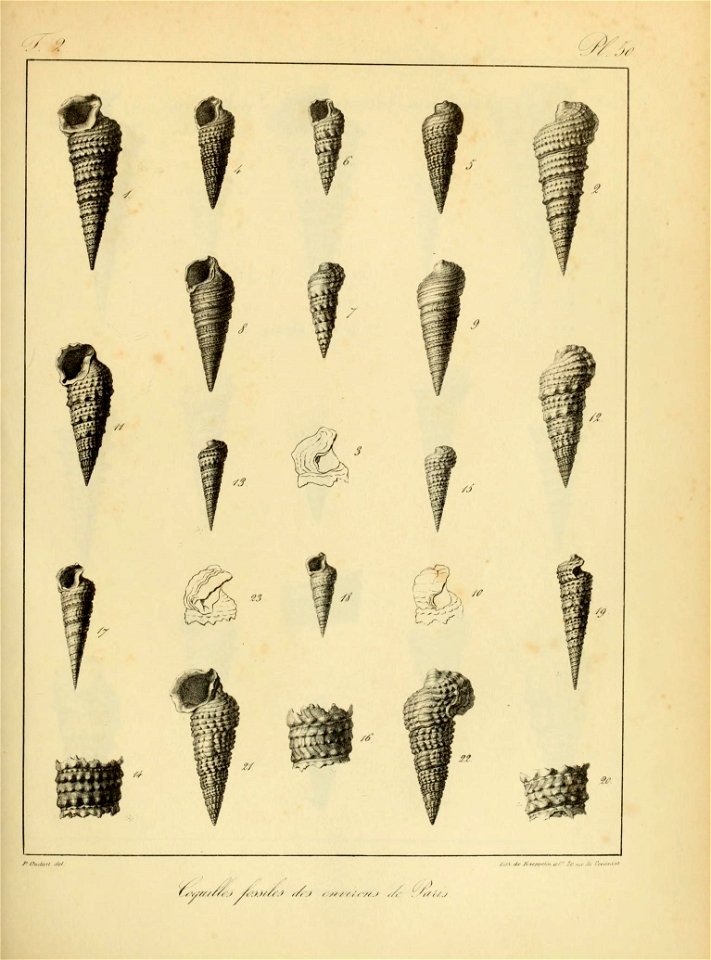 n152_w1150