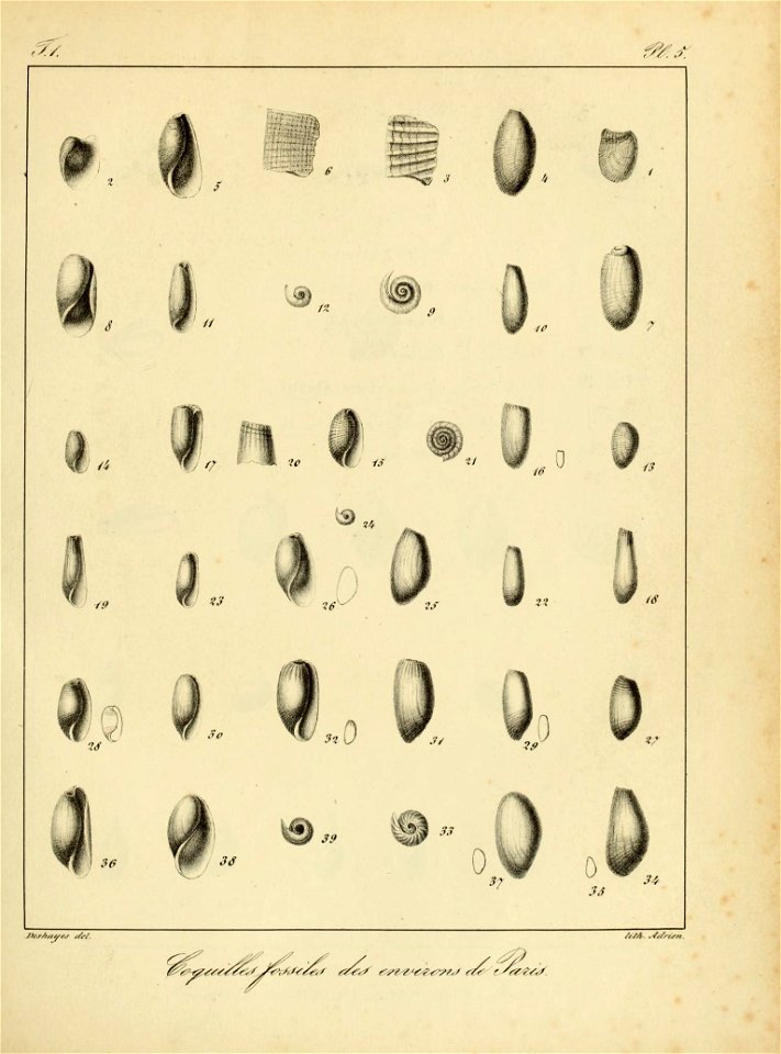 n62_w1150