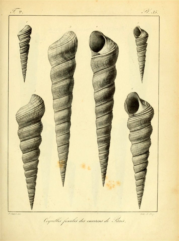n122_w1150