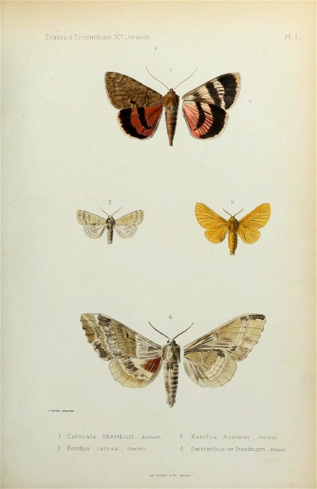 n122_w1150