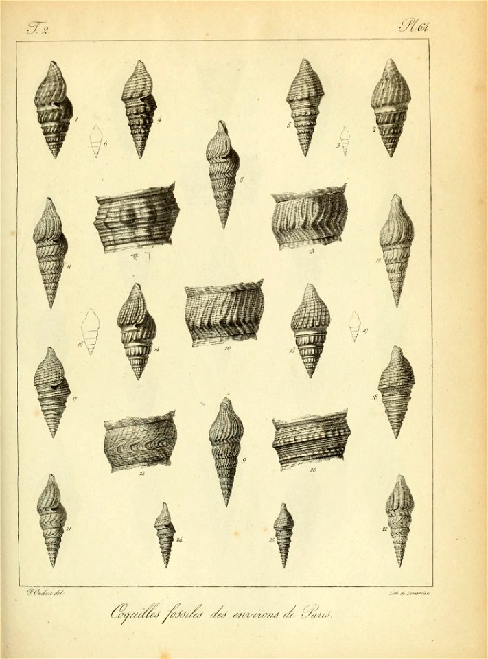 n178_w1150