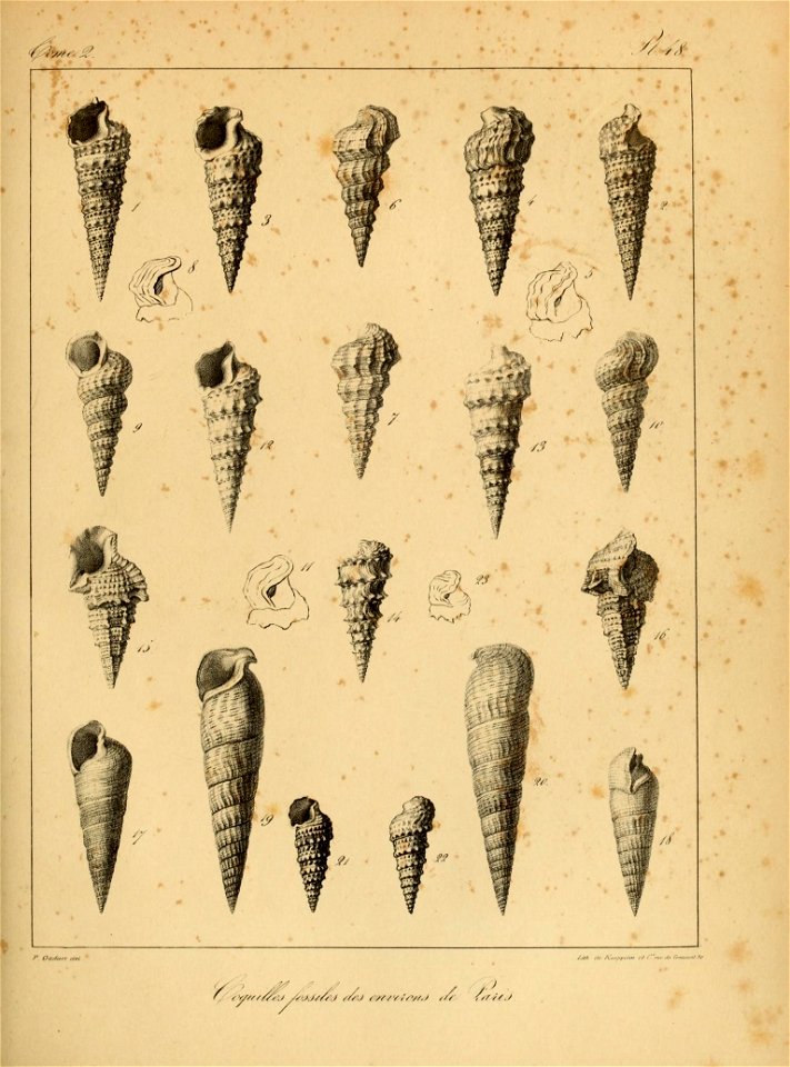 n148_w1150