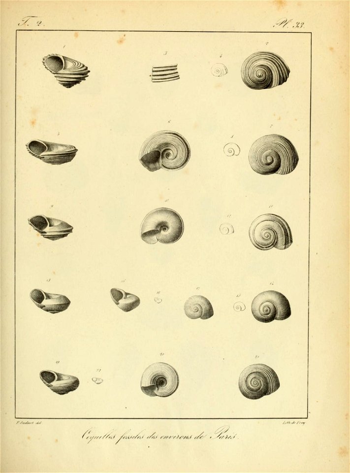 n118_w1150