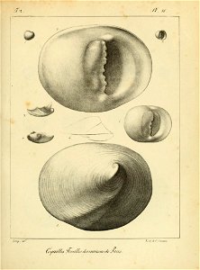n88_w1150