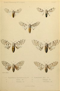 n148_w1150