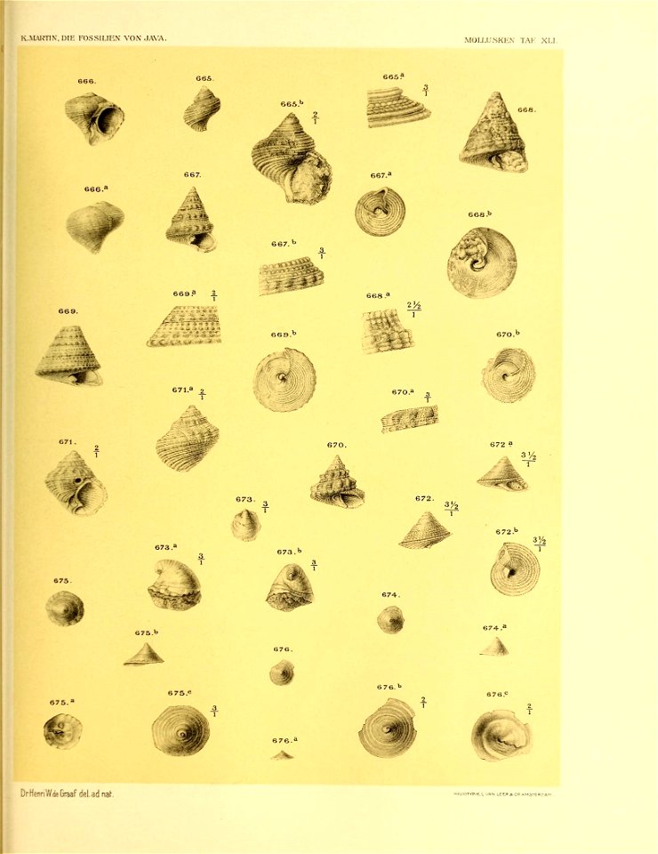 n486_w1150