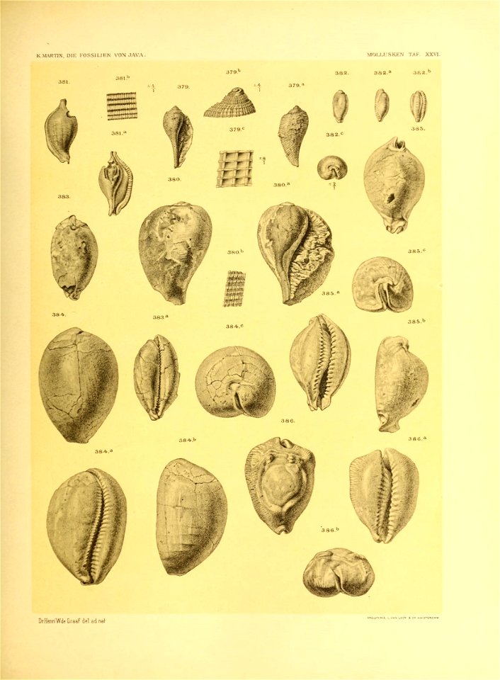 n358_w1150