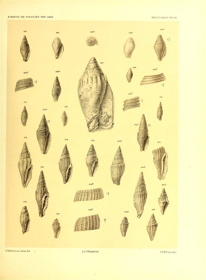 n202_w1150