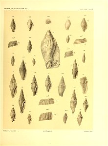 n202_w1150