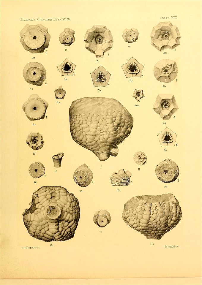 n136_w1150