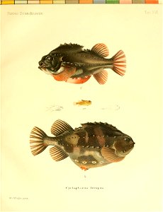 n44_w1150