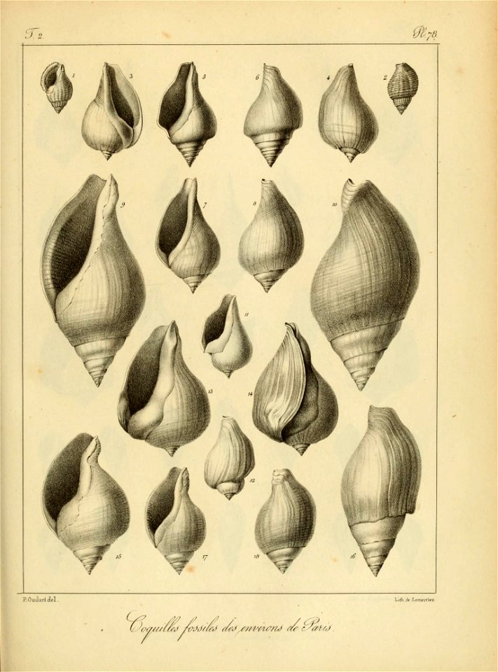 n206_w1150