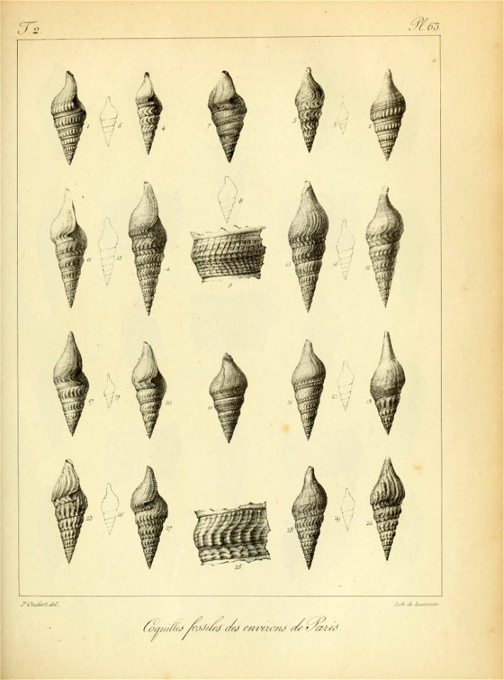 n176_w1150