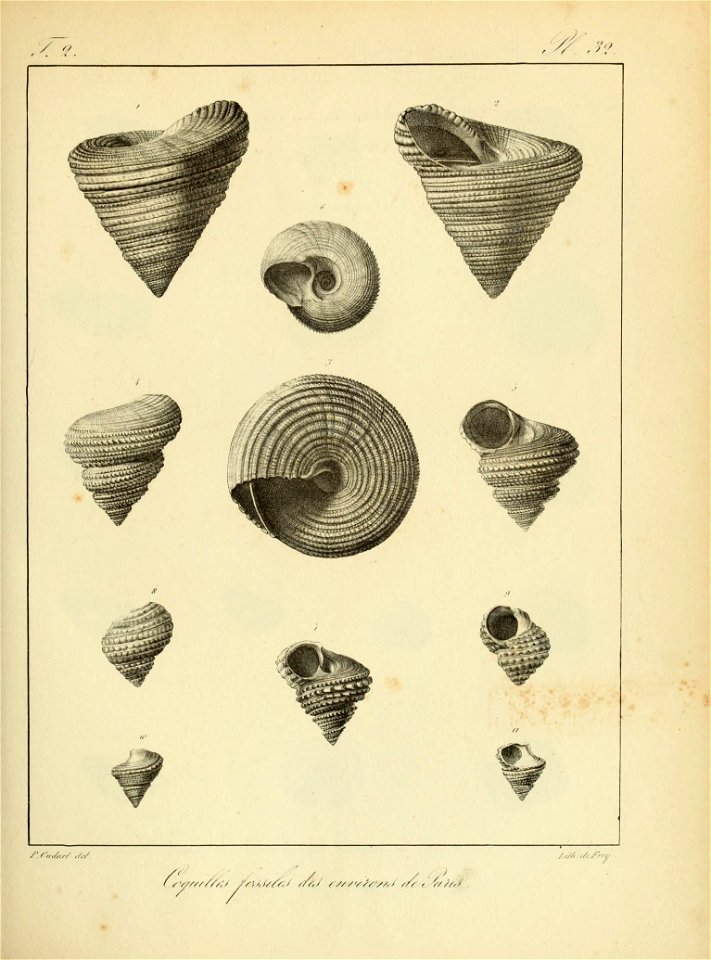 n116_w1150