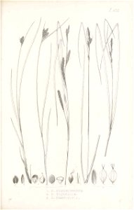 n150_w1150