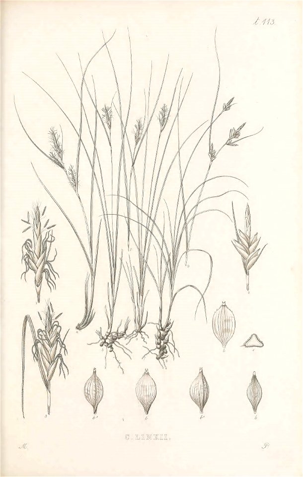 n120_w1150