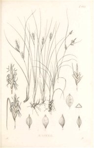 n120_w1150