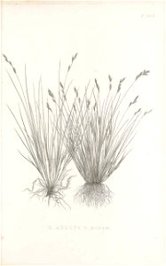 n176_w1150