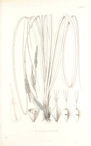 n116_w1150