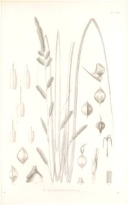 n164_w1150